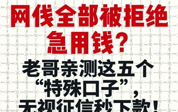 网贷全部被拒急用钱?老哥亲测这五个“特殊口子”,无视征信秒下款!