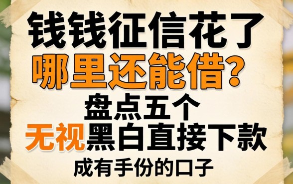 急需用钱征信花了哪里还能借？盘点五个无视黑白直接下款的口子