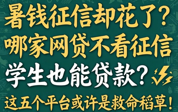 急需用钱征信却花了?哪家网贷不看征信学生也能贷款?这五个平台或许是救命稻草!