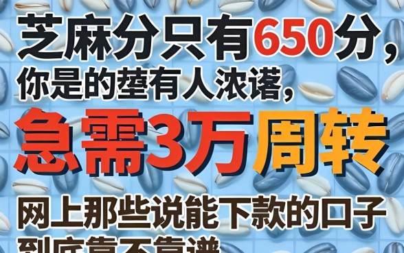 芝麻分只有650分,急需3万周转,网上那些说能下款的口子到底靠不靠谱?