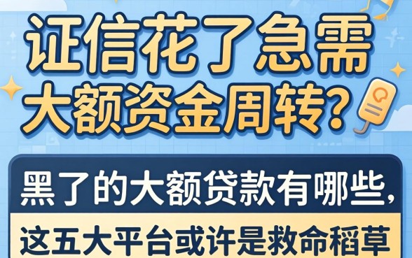 征信花了急需大额资金周转？2026黑户的大额贷款有哪些，这五大平台或许是救命稻草
