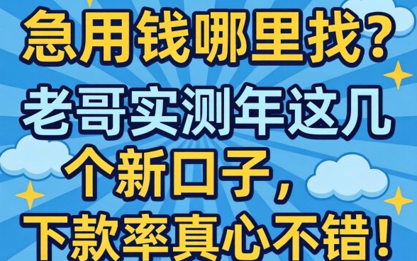 急用钱哪里找？老哥实测2026年这几个新口子，下款率真心不错！