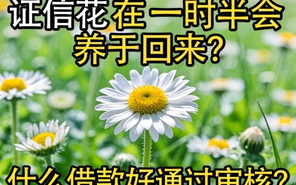 征信花了一时半会养不回来,什么借款好通过审核?