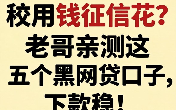 急用钱征信花？老哥亲测这五个黑网贷口子，下款稳！