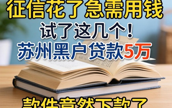 我征信花了急需用钱,试了这几个苏州黑户贷款5万的软件竟然下款了