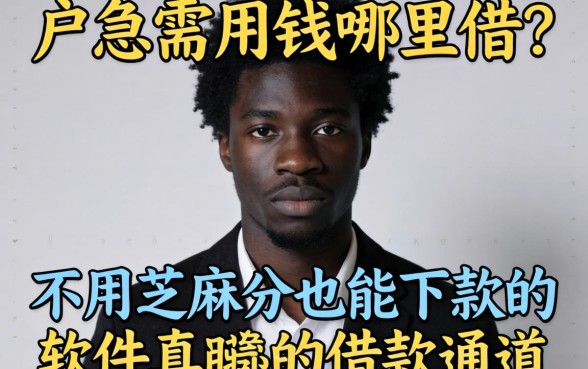 黑户急需用钱哪里借？不用芝麻分也能下款的软件真的存在吗？揭秘那些隐藏的借款通道