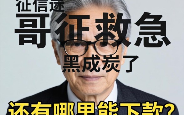 老哥们救急！征信黑成炭了还有哪里能下款？求推荐个容易通过的口子！