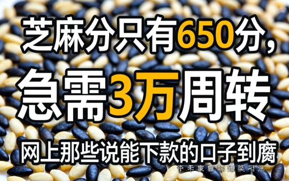 芝麻分只有650分,急需3万周转,网上那些说能下款的口子到底靠不靠谱?