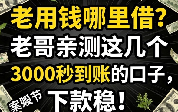 急用钱哪里借？老哥亲测这几个3000秒到账的口子，下款稳！