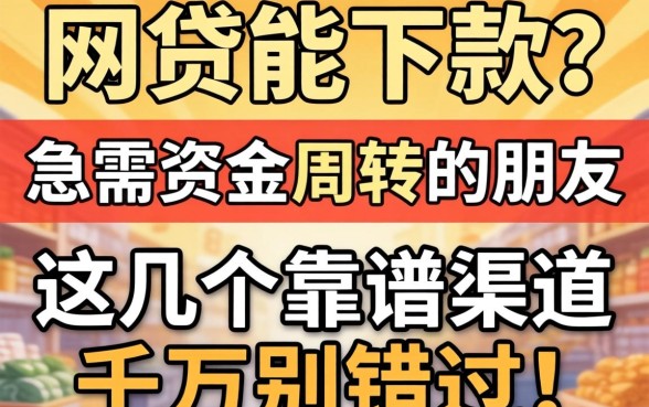 2026年哪个网贷能下款？急需资金周转的朋友，这几个靠谱渠道千万别错过！