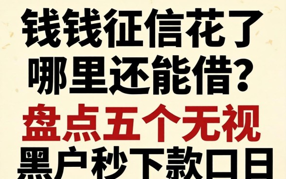 急需用钱征信花了哪里还能借?盘点五个无视黑户秒下款的口子