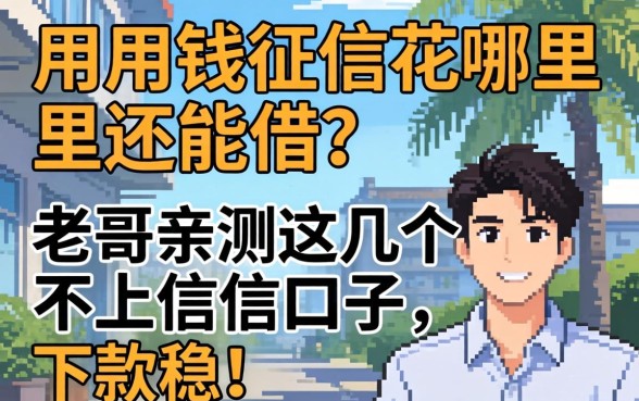 急用钱征信花哪里还能借？老哥亲测这几个不上征信的口子，下款稳！