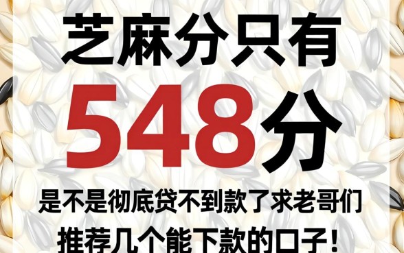 芝麻分只有548分，是不是彻底贷不到款了？求老哥们推荐几个能下款的口子！