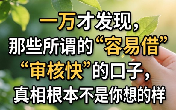 我借了一万才发现,那些所谓的“容易借”和“审核快”的口子,真相根本不是你想的那样