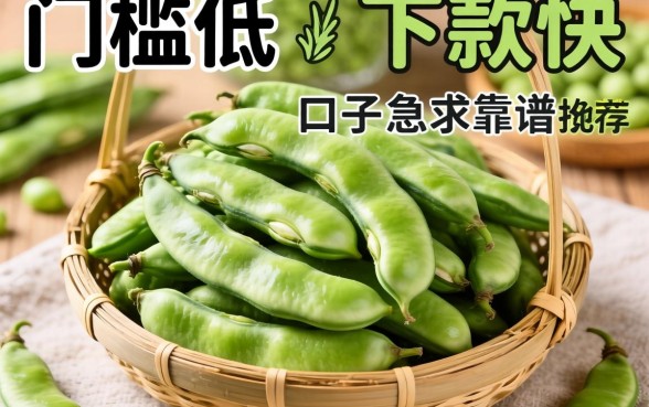 有没有类似芸豆分那种门槛低、下款快的口子？急求靠谱推荐！