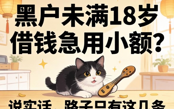 黑户未满18岁借钱急用小额？说实话，路子只有这几条