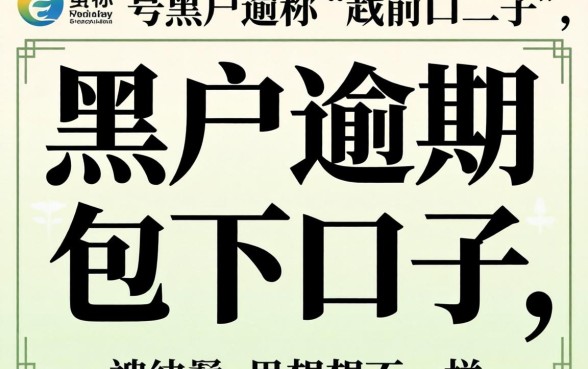 我试了那些号称黑户逾期包下口子，结果和你想的不一样