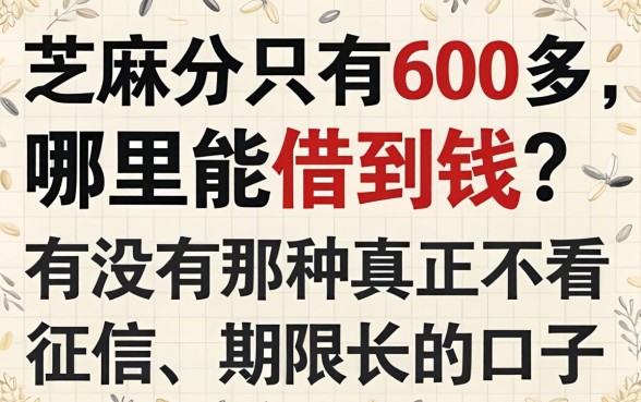 芝麻分只有600多，哪里能借到钱？有没有那种真正不看征信、期限长的口子？