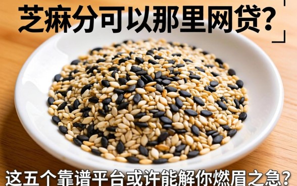 有芝麻分可以在那里网贷？这五个靠谱平台或许能解你燃眉之急