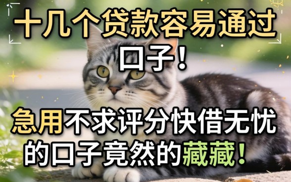 我试了十几个贷款容易通过的口子，发现急用不求评分快借无忧的口子竟然藏在