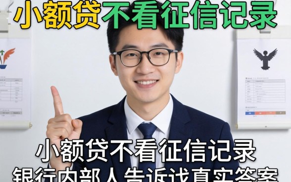 哪些小额贷不看征信记录？银行内部人告诉你真实答案