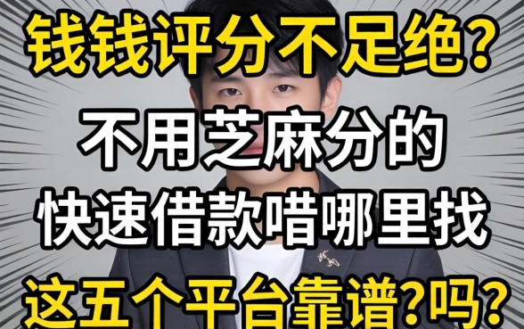急需用钱却因征信评分不足被拒？不用芝麻分的快速借款哪里找？这五个平台靠谱吗？