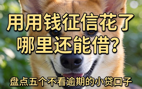 急用钱征信花了哪里还能借?盘点五个不看逾期的小贷口子