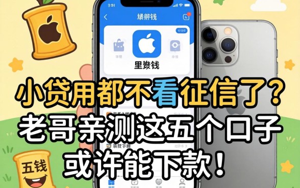 急用钱发现苹果手机里的小贷APP都不看征信了？老哥亲测这五个口子或许能下款！