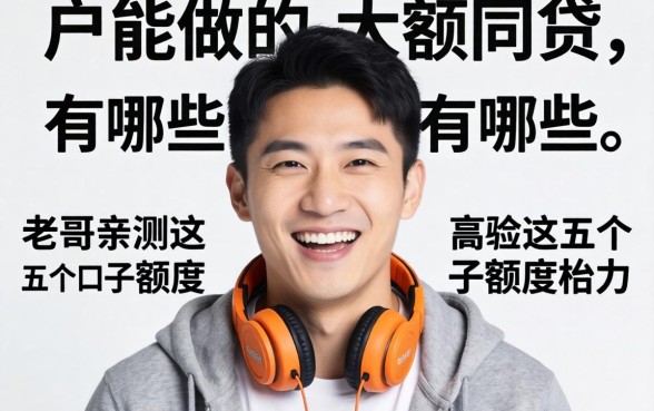 纯白户能做的大额网贷有哪些，老哥亲测这五个口子额度给力