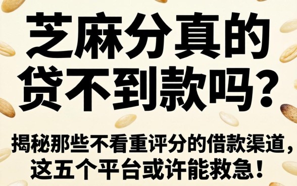 没有芝麻分真的贷不到款吗？揭秘那些不看重评分的借款渠道，这五个平台或许能救急！