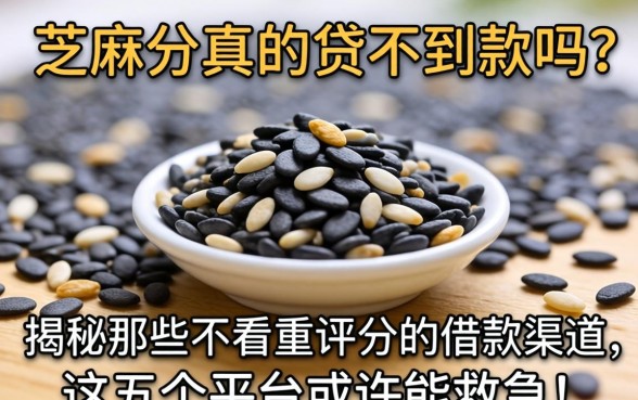 没有芝麻分真的贷不到款吗？揭秘那些不看重评分的借款渠道，这五个平台或许能救急！