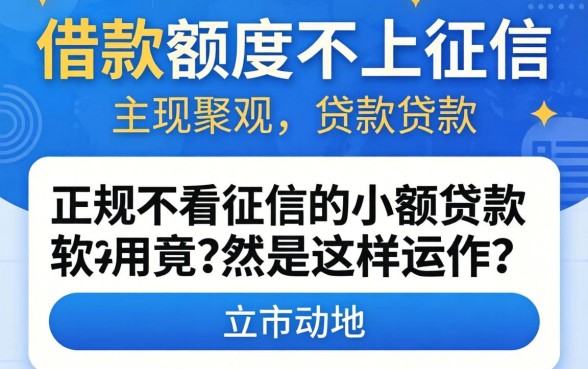 我试了那些借款额度不上征信的贷款，发现正规不看征信的小额贷款软件竟然是这样运作的