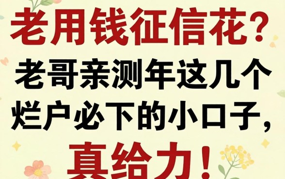 急用钱征信花?老哥亲测2026年这几个烂户必下的小口子,真给力!
