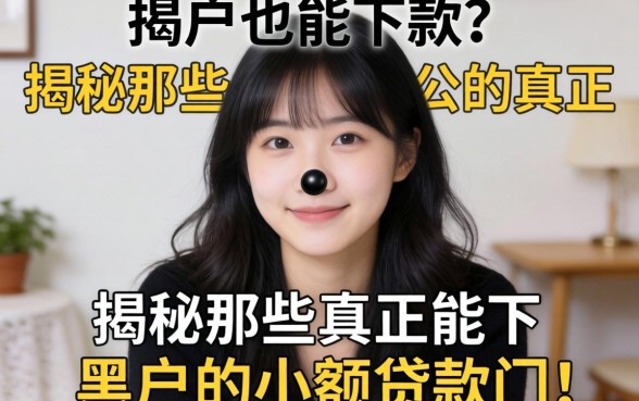 黑户也能下款？揭秘那些真正能下黑户的小额贷款门道