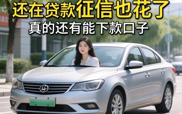车子还在还贷中，征信也花了，真的还有能下款的口子吗？