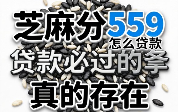 芝麻分559怎么贷款，黑白贷款必过的软件真的存在吗