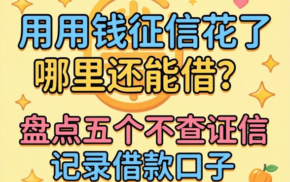 急用钱征信花了哪里还能借？盘点五个不查征信记录的借款口子