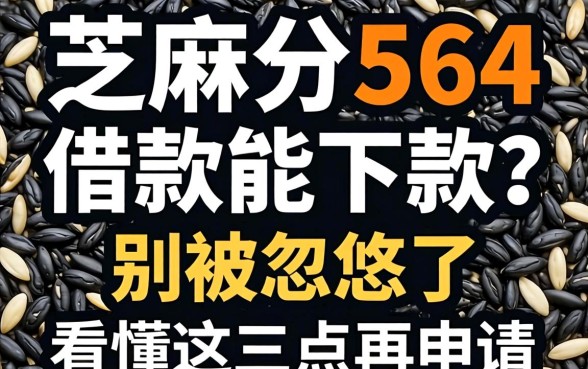 芝麻分564借款能下款？别被忽悠了，看懂这三点再申请