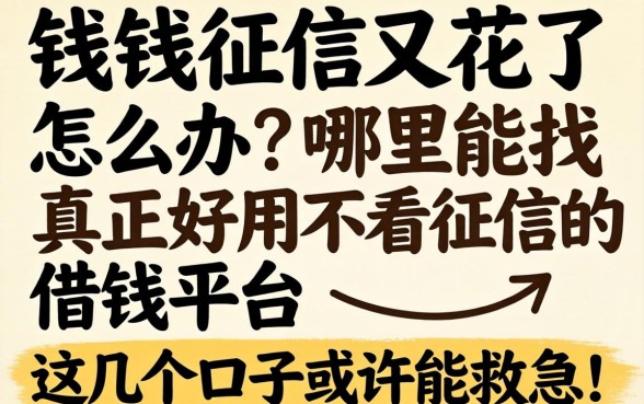 急需用钱征信又花了怎么办?哪里能找到真正好用不看征信的借钱平台?这几个口子或许能救急!