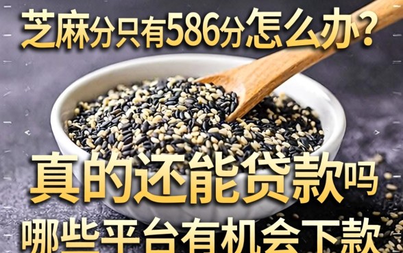 芝麻分只有586分怎么办？真的还能贷款吗？哪些平台有机会下款？
