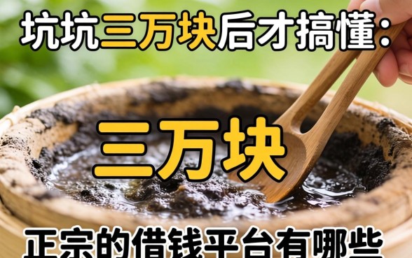 被坑三万块后才搞懂：正宗的借钱平台有哪些？