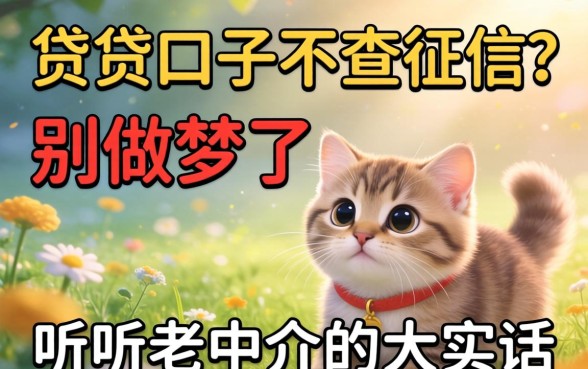 2026小贷口子不查征信?别做梦了,听听老中介的大实话