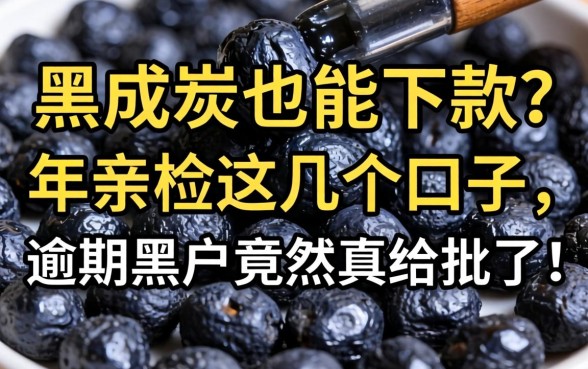征信黑成炭也能下款？2026年亲测这几个口子，逾期黑户竟然真给批了！