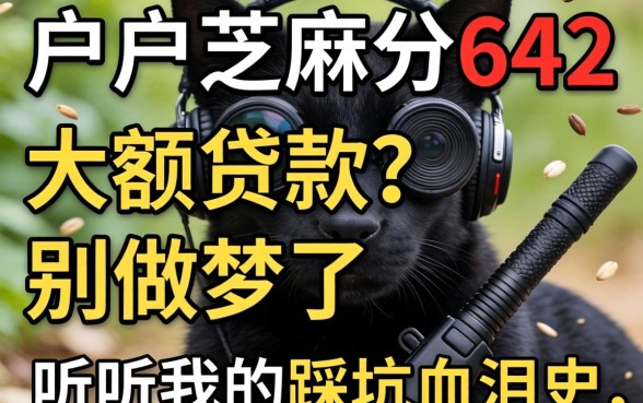 黑户芝麻分642大额贷款?别做梦了,听听我的踩坑血泪史