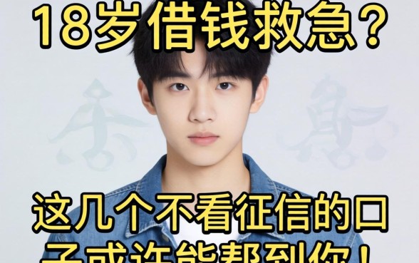 刚满18岁想借钱救急？这几个不看征信的口子或许能帮到你！