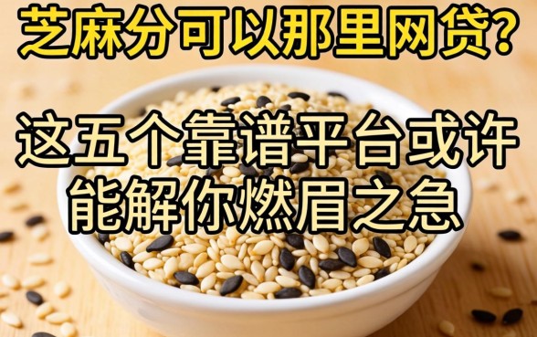 有芝麻分可以在那里网贷？这五个靠谱平台或许能解你燃眉之急