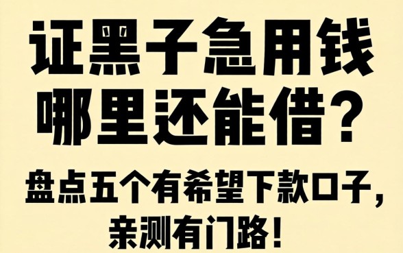 征信黑了急用钱哪里还能借？盘点五个有希望下款的口子，亲测有门路！