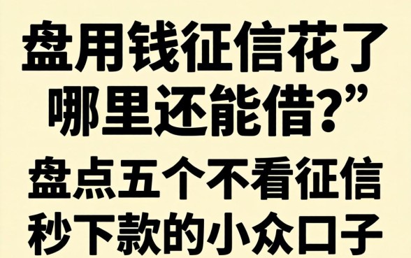 急用钱征信花了哪里还能借？盘点五个不看征信秒下款的小众口子