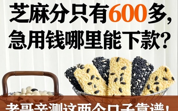 芝麻分只有600多,急用钱哪里能下款?老哥亲测这几个口子靠谱!