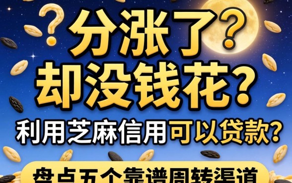 芝麻分涨了却没钱花?利用芝麻信用可以贷款吗?盘点五个靠谱周转渠道